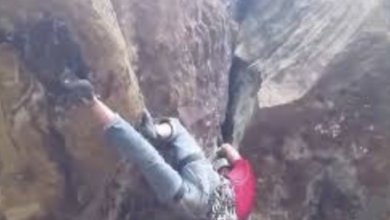 Rock Climbing Video Original Viral