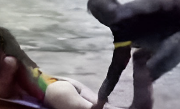 Watch Jamaica Rafting Viral Video Original