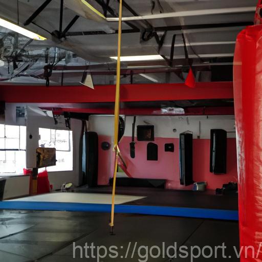 Experience The Top-Notch Facilities And Professional Trainers At The Best Boxing Gyms In Chesapeake, Va.