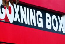 X Boxing Gym