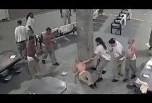 El Patron Video Original Incident Unblur