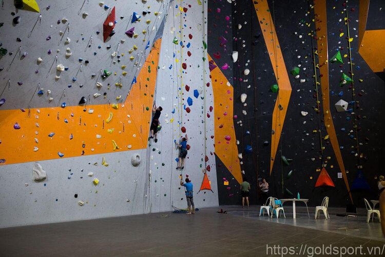 Discover The Best Climbing Gyms In Lexington, Ky For Thrilling Adventures | Climbing Gym Lexington Ky