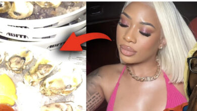 Exploring The 48 Oysters Video Youtube A Viral Sensation And Online Controversy 2023 10 18 13 31 37 593485