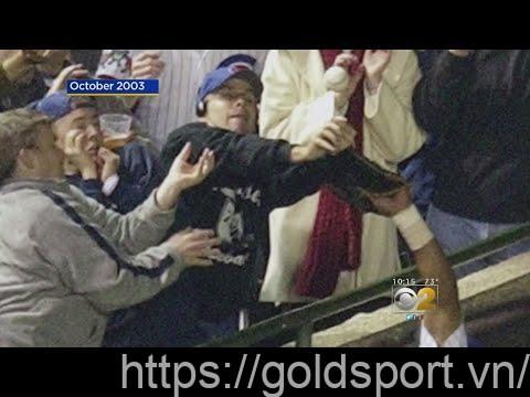 The Steve Bartman Incident: A Controversial Moment In Baseball History