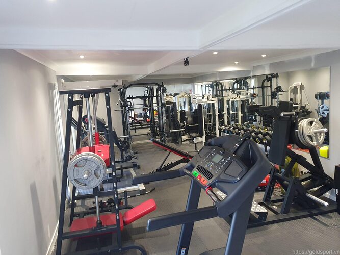 Understanding The Essentials Of A Home Gym