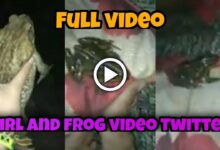 Watch The Frog Video Viral Twitter 2023 11 04 16 51 33 277640 Watch The Frog Video Viral Twitter Otqxddif0N4